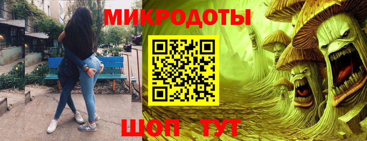 Гусев  Галлюциногенные грибы Cubensis  Вход с VPN 